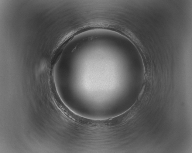 X0000081290434200701111402