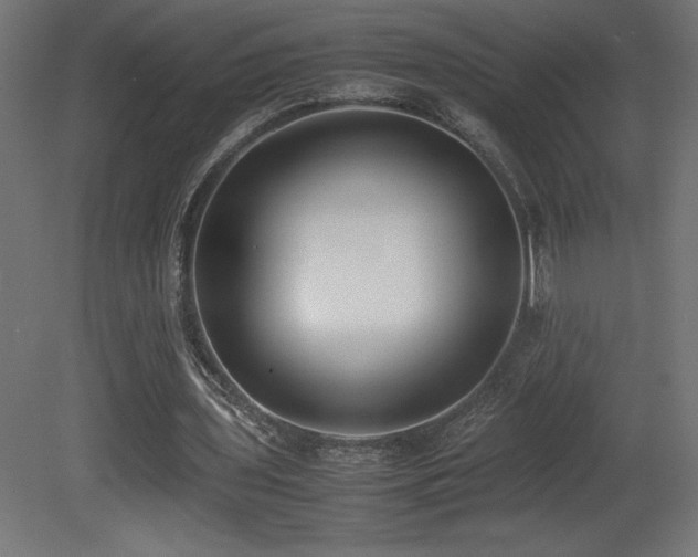 X0000081290435200701111402