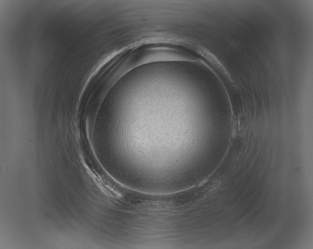 X0000081290436200701111402
