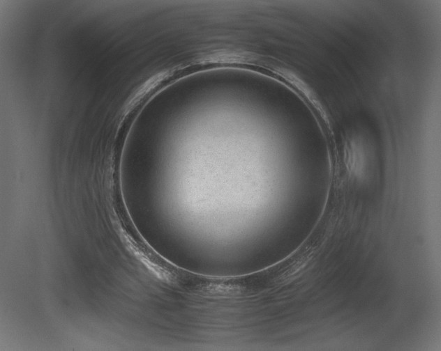 X0000081290437200701111402