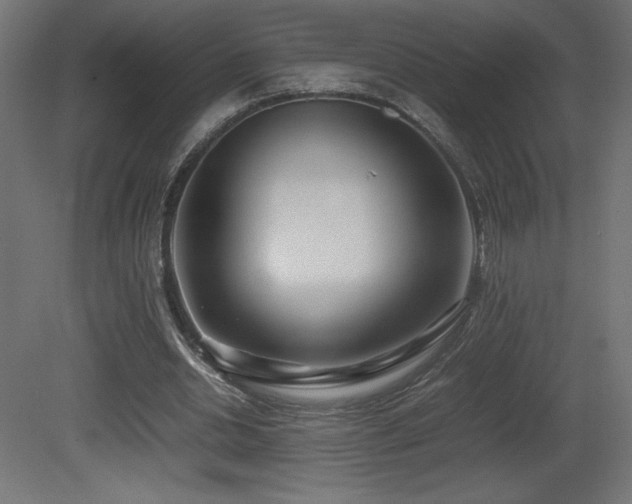 X0000081290438200701111402