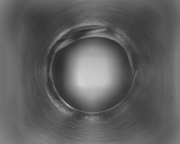 X0000081290440200701111403