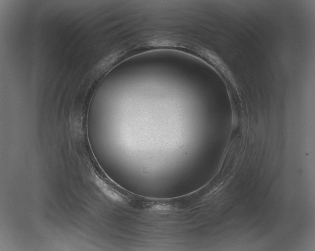 X0000081290441200701111403