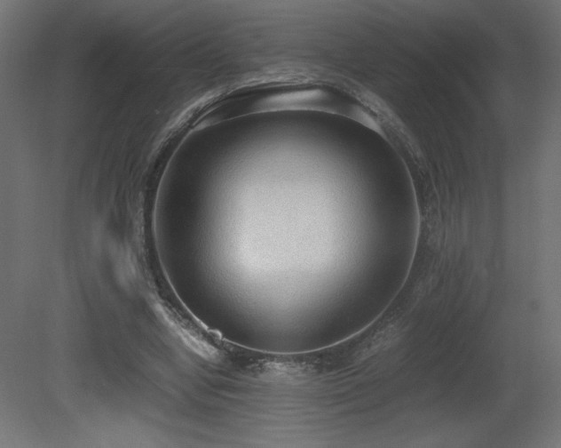 X0000081290442200701111403