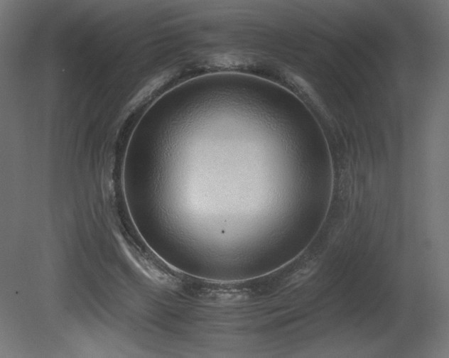 X0000081290443200701111403