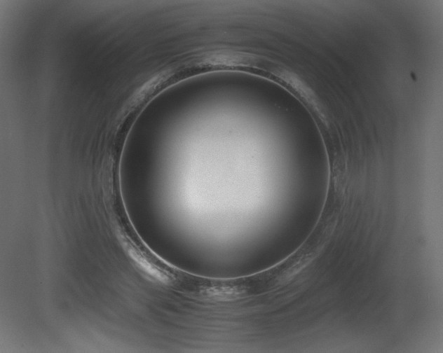 X0000081290445200701111403
