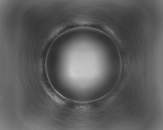 X0000081290447200701111403