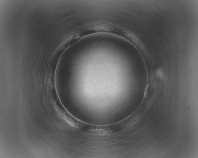 X0000081290449200701111403