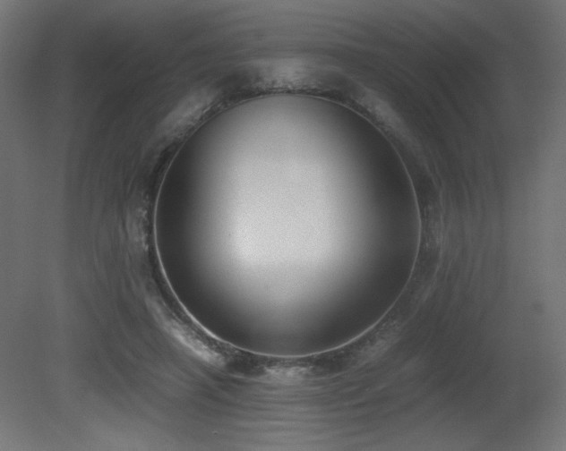 X0000081290450200701111403