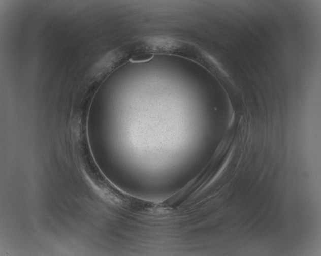 X0000081290451200701111403