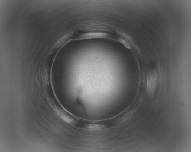 X0000081290453200701111403