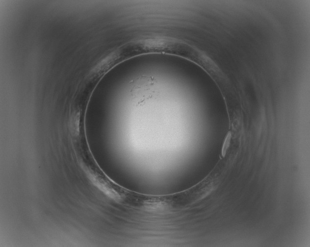 X0000081290454200701111403