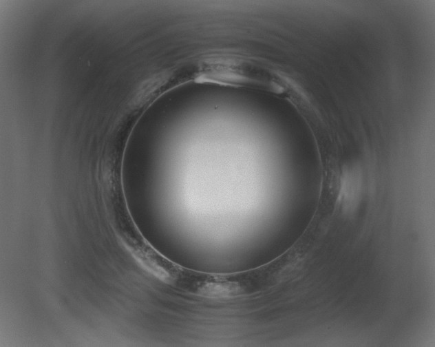 X0000081290455200701111403