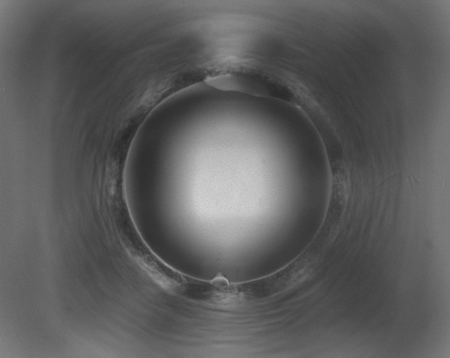 X0000081290458200701111403