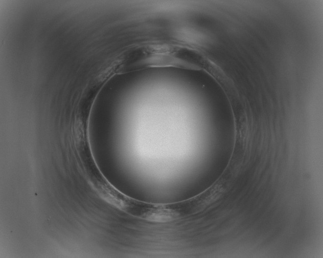 X0000081290459200701111403