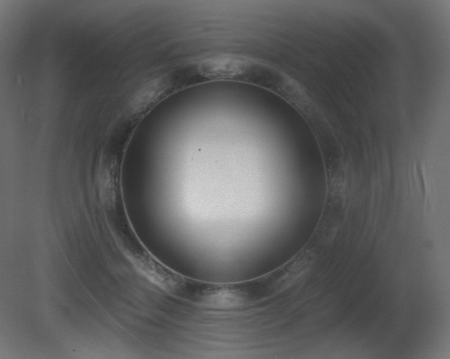 X0000081290460200701111403