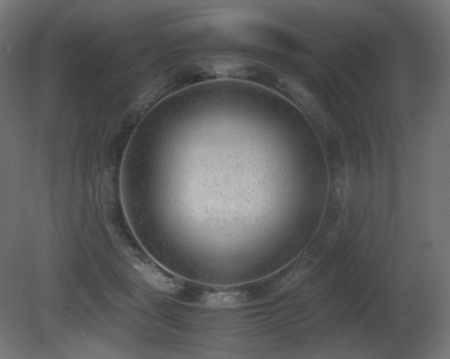 X0000081290461200701111403