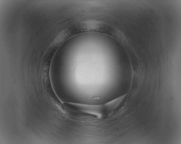 X0000081290462200701111403