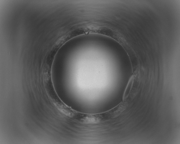 X0000081290464200701111403