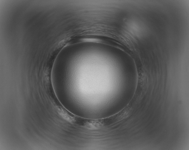 X0000081290466200701111403