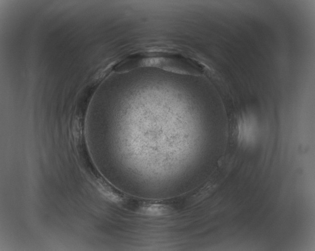 X0000081290467200701111403