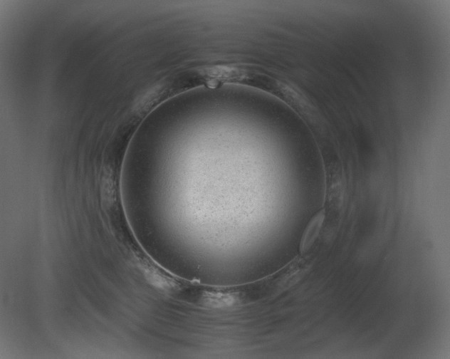 X0000081290469200701111403