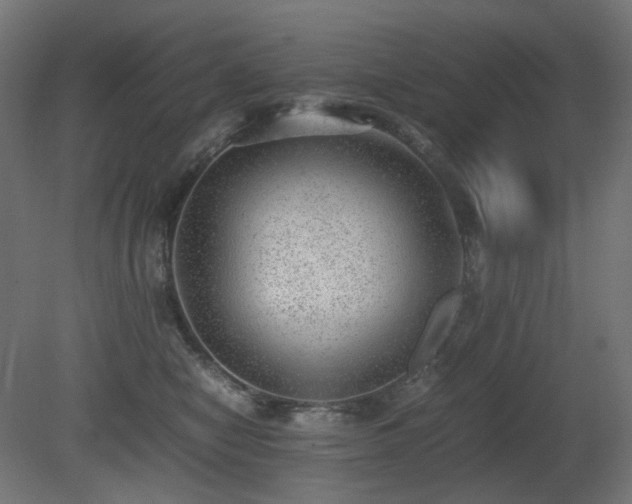 X0000081290470200701111403