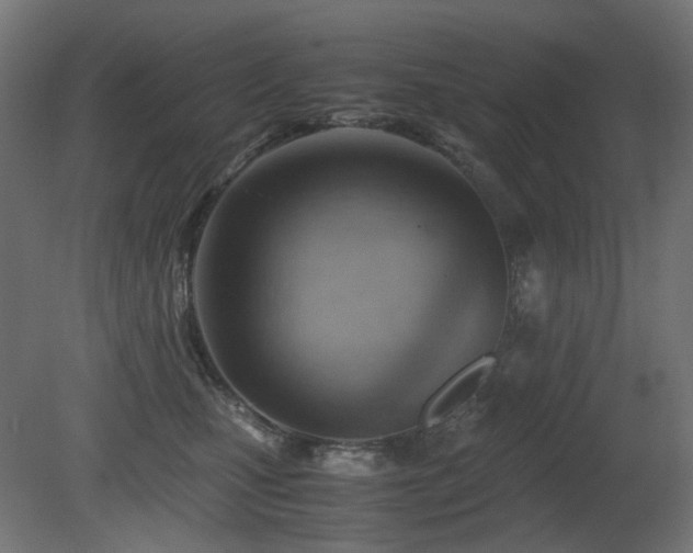 X0000081290471200701111403