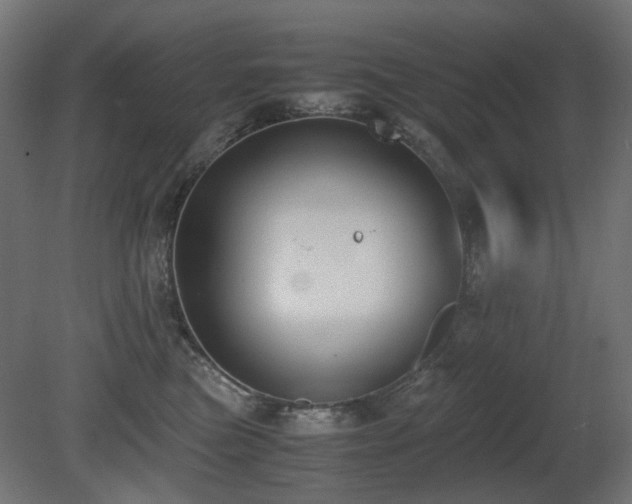 X0000081290473200701111403
