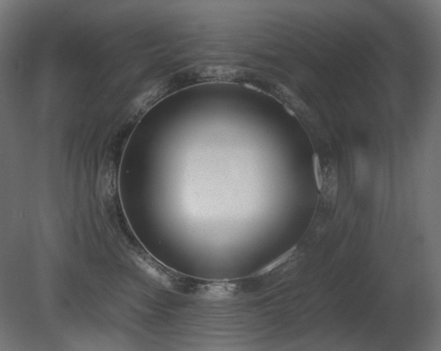 X0000081290474200701111403
