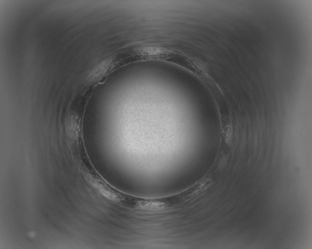 X0000081290476200701111403