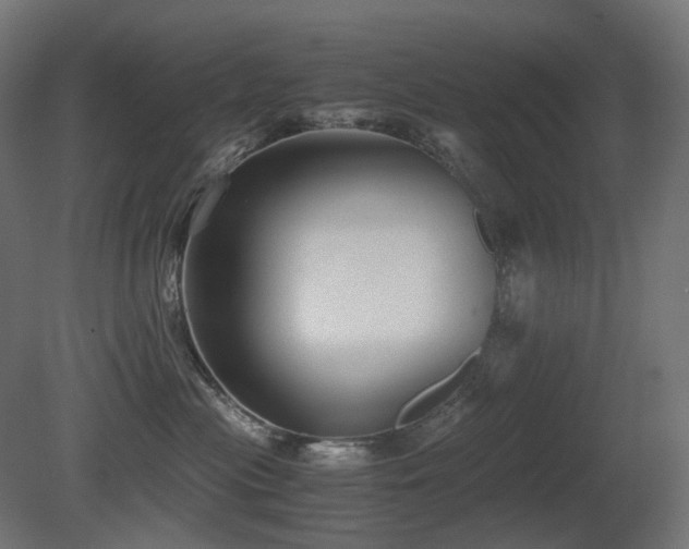 X0000081290477200701111403