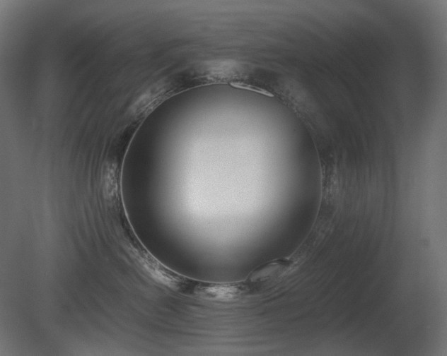 X0000081290478200701111403