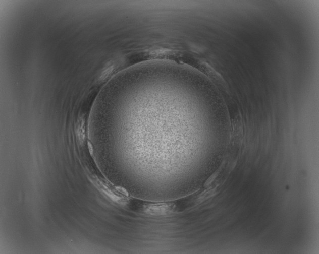 X0000081290479200701111403