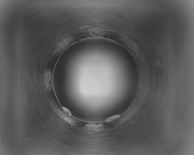 X0000081290480200701111403