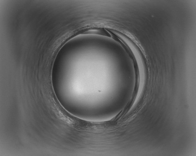 X0000081290481200701111402