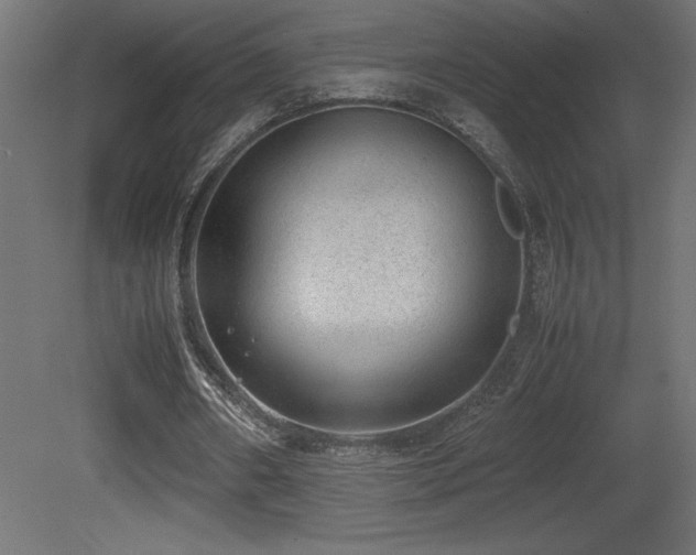 X0000081290482200701111402