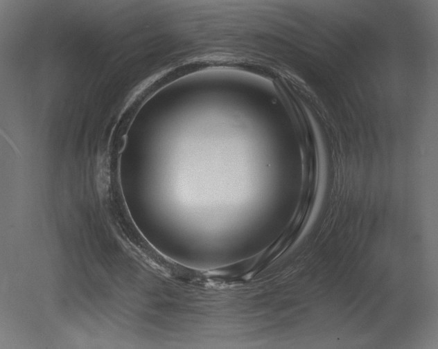X0000081290484200701111402