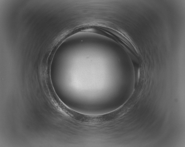X0000081290485200701111402