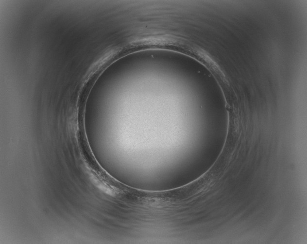 X0000081290486200701111402