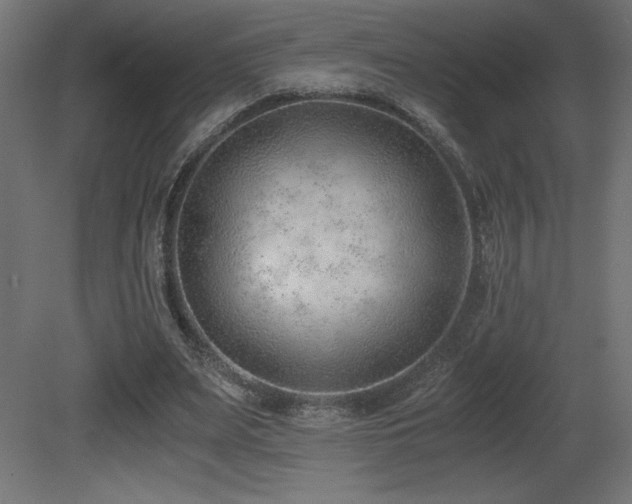 X0000081290487200701111402