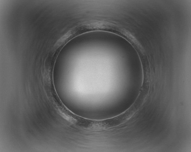 X0000081290489200701111402