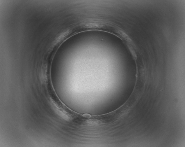 X0000081290490200701111402