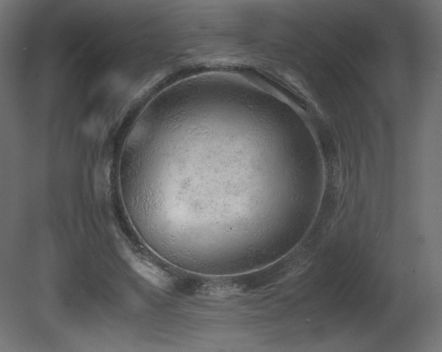 X0000081290491200701111402