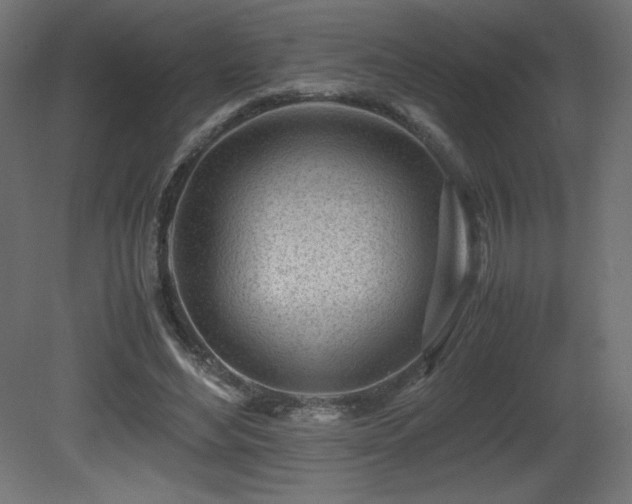 X0000081290492200701111402