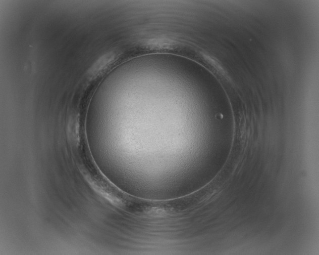 X0000081290494200701111402