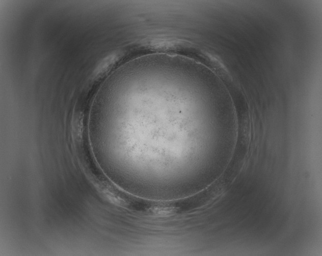 X0000081290495200701111402