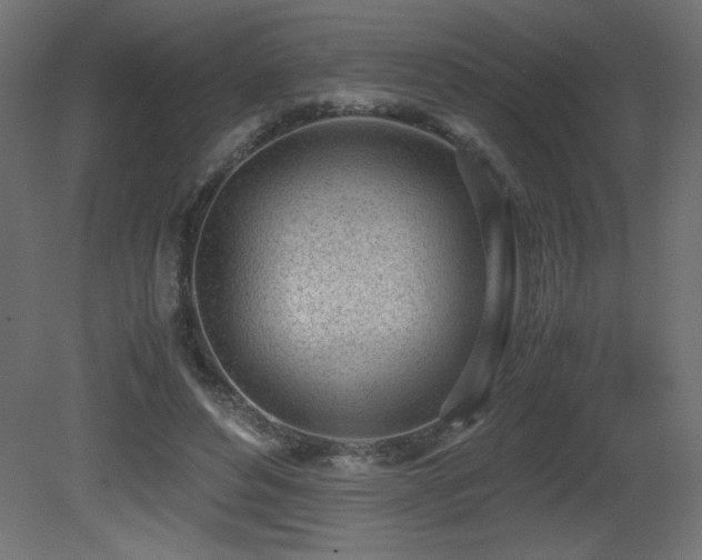 X0000081290496200701111402