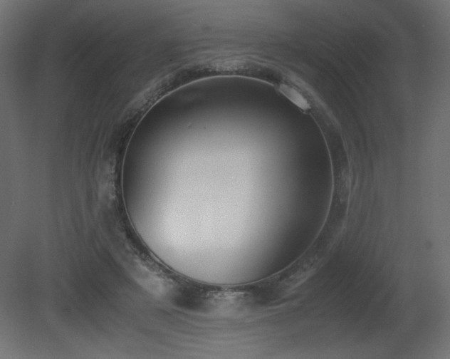 X0000081290497200701111402