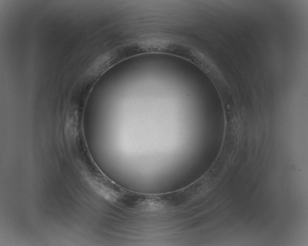 X0000081290498200701111402